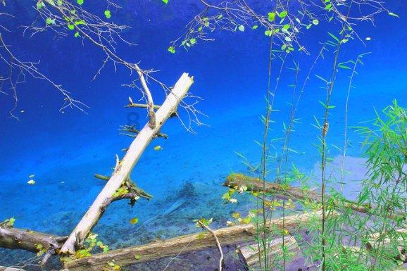 安徽：湿地为迁徙候鸟提供“生态驿站”