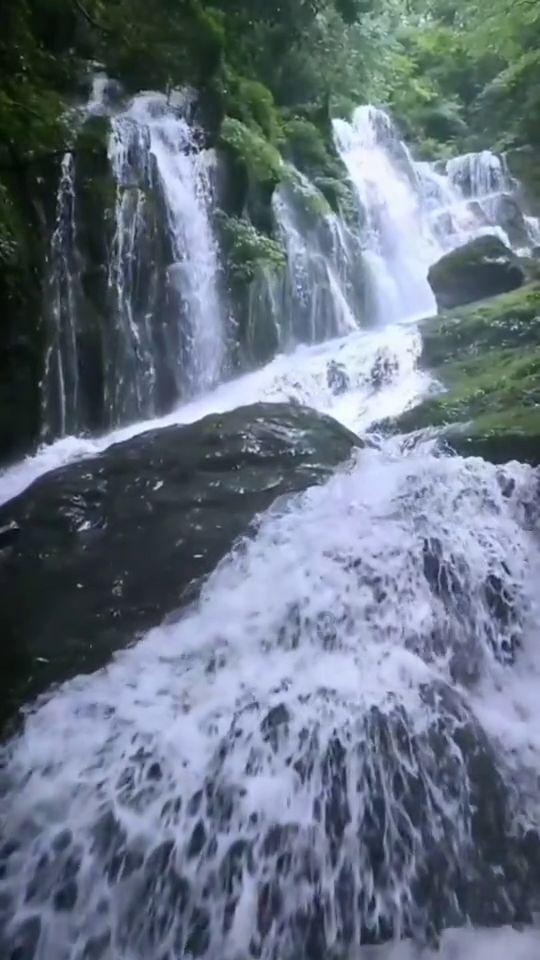 @2024届高校毕业生：“乡约”泉城，共赢未来